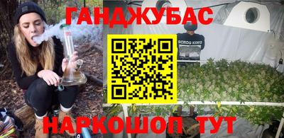 индика Краснознаменск