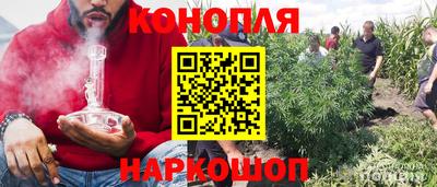 индика Краснознаменск