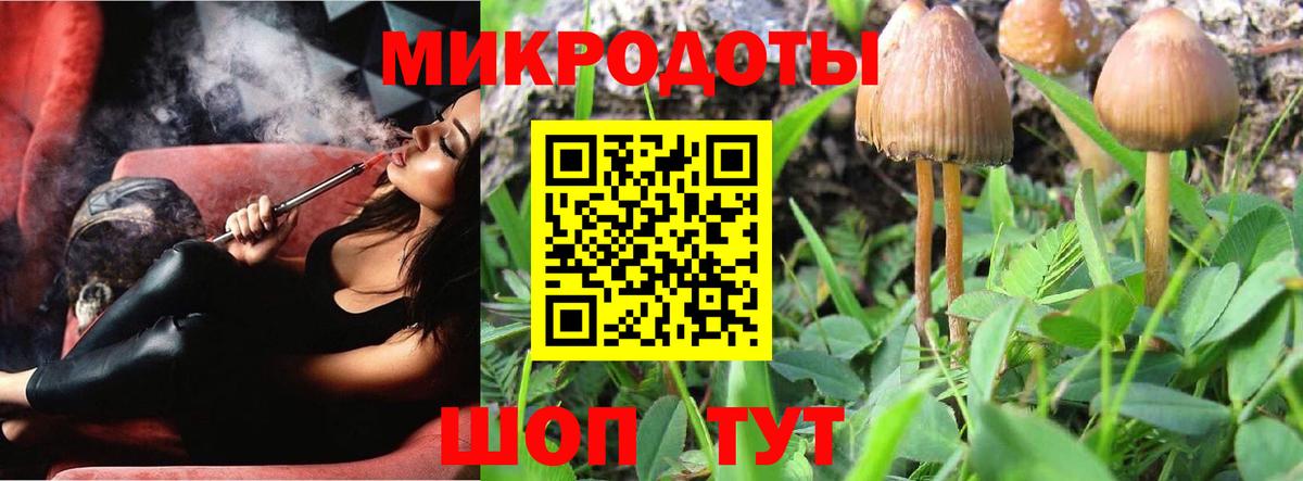 Псилоцибиновые грибы ЛСД Кинель